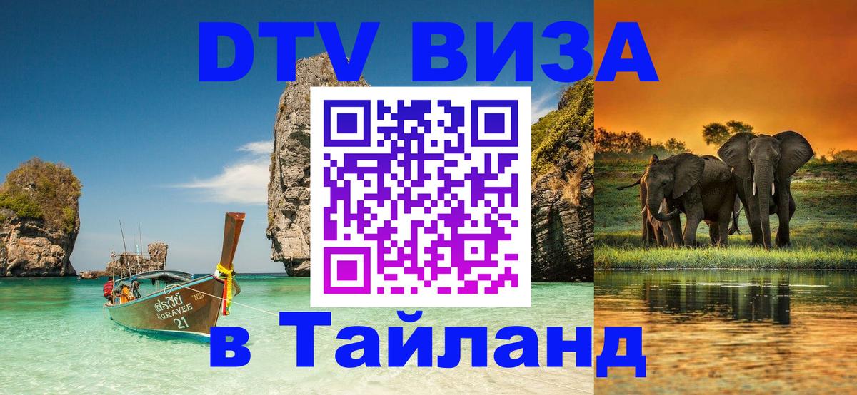 Сколько стоит DTV виза — актуальные цены, оформление даже без документов - Дзержинск  19.11.2025 